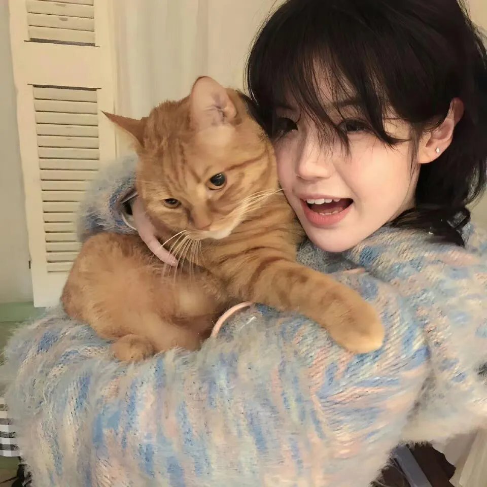 如果历史是一群喵第二季